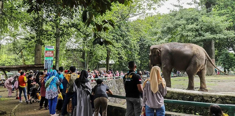 Taman Margasatwa Ragunan Ubah Jam Operasional Selama Ramadhan