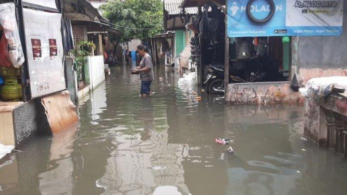 Asal Usul Nama Rawa Buaya Di Jakarta 