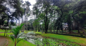 Wisata Alam di Jakarta Selatan
