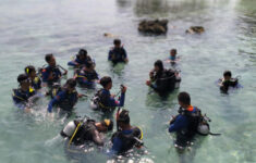 Pelatihan Selam di Kepulauan Seribu Tingkatkan Skill Warga untuk Pemandu Wisata dan Konservasi