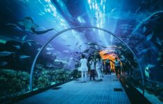 Cara Menuju Jakarta Aquarium Naik KRL Computer Line