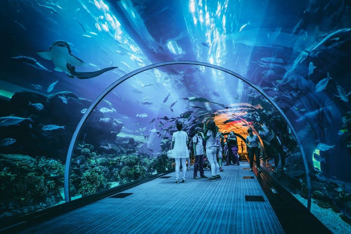 Cara Menuju Jakarta Aquarium Naik KRL Computer Line