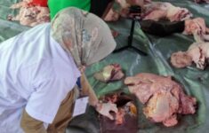 130 Petugas Kesehatan Periksa Daging Kurban di Jakarta Timur, Satu Lokasi Satu Petugas!