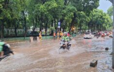 Hujan Deras dan Angin Kencang yang Melanda Jakarta Berujung Banjir dan Pohon Tumbang