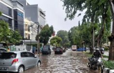 Lima RT Terdampak Banjir Akibat Luapan Sungai dan Tingginya Curah Hujan di DKI Jakarta