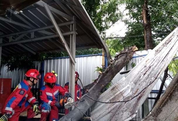 Kepala Gulkarmat Pastikan Tak Ada Korban Jiwa pada Insiden Pohon Tumbang Timpa Atap Kantin di Jakbar