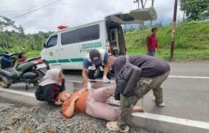 Pemotor Tabrak Pejalan Kaki di Bogor Hingga Alami Luka, Begini Kronologinya