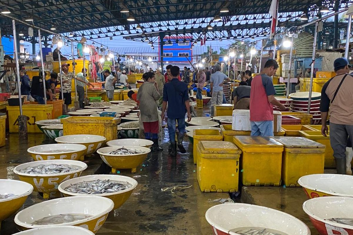 Tempat Beli Ikan Hias di Jakarta 