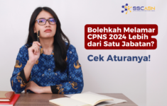 Bolehkah Melamar CPNS 2024 Lebih dari Satu Jabatan