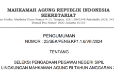 CPNS 2024 Buka Formasi Tenaga Kesehatan di Lingkungan Mahkamah Agung RI