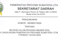 Pemprov Sumatera Utara Buka 851 Formasi CPNS 2024