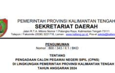 Pemprov Kalimantan Tengah 555 Formasi CPNS 2024