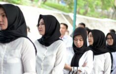 Tahapan Seleksi CPNS 2024 untuk Lulusan SMA Hingga Sarjana