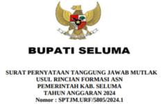 Formasi CPNS 2024 Kab. Seluma Untuk Lulusan SMA