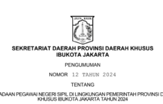 Pengadaan CPNS 2024 Pemerintah Provinsi DKI Jakarta