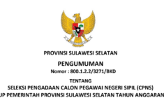 Pemprov Sulawesi Selatan Buka 6 Formasi CPNS 2024