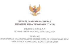 Buka 751 Formasi CPNS 2024 Kabupaten Manggarai Barat