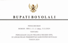 formasi CPNS 2024 Boyolali