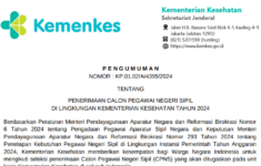 formasi CPNS Kemenkes 2024