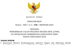 formasi CPNS 2024 Kab Tebo