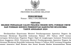 formasi CPNS 2024 Bulukumba