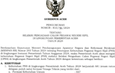 formasi CPNS 2024 Aceh