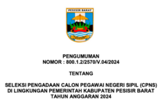 formasi CPNS 2024 pesisir Barat