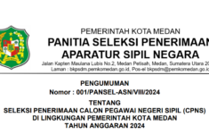 Cara Daftar Hingga Tahapan Seleksi Formasi CPNS 2024 Kota Medan