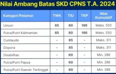 Aturan Terbaru Nilai Ambang Batas SKD CPNS 2024