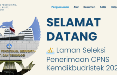 Cara Lihat Pengumuman Hasil Administrasi Kemendikbud Ristek CPNS 2024