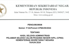 Cara Cek Hasil Seleksi Administrasi CPNS 2024 Setkab dan Kemensetneg