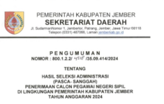 Cek Hasil Seleksi Administrasi Pasca Sanggah CPNS 2024 Kabupaten Jember