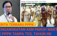 KemenPAN-RB Sebut Pengangkatan ASN Paruh Waktu PPPK 2024 Tanpa Tes