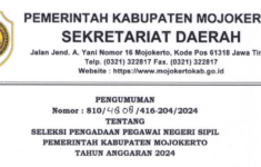 Kabupaten Mojokerto Buka 108 Formasi CPNS 2024