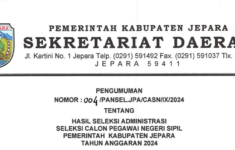 858 Tidak Memenuhi Syarat di Seleksi Administrasi CPNS 2024 Kabupaten Jepara