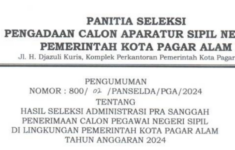 Cara Cek Hasil Administrasi Pra Sanggah CPNS 2024 Kota Pagar Alam