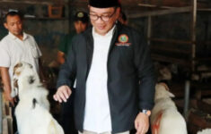 Ridwan Kamil Rencanakan Revitalisasi Pasar Kambing di Tanah Abang, Begini Penjelasannya!