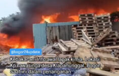 Lapak Limbah Kayu di Bogor Terbakar, Diduga Warga Bakar Sampah Daun