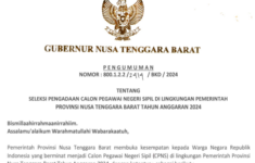 formasi CPNS 2024 NTB