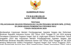 formasi CPNS 2024 Riau