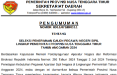 formasi CPNS 2024 NTT