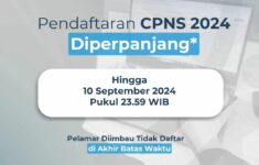 Pendaftaran CPNS 2024 Diperjanjang Sampai 10 September