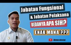 Perbedaan Jabatan Fungsional Vs Jabatan Pelaksana CPNS 2024