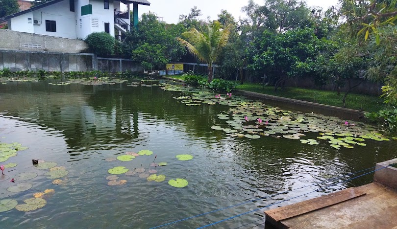 Taman di Jakarta Timur Dekat dengan Halte Transportasi Umum