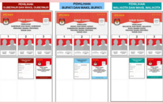 Jenis Surat Suara Pilkada 2024