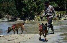 Polisi Libatkan Anjing Pelacak Cari Kepala Korban Mutilasi di Jakarta Utara