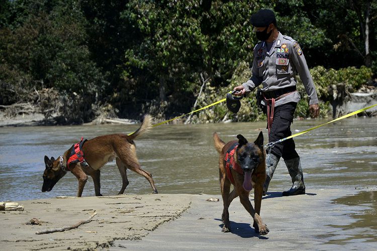 Polisi Libatkan Anjing Pelacak Cari Kepala Korban Mutilasi di Jakarta Utara