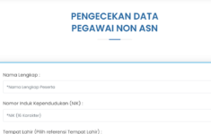 Cara Cek Status Tenaga Honorer dalam Database BKN untuk Syarat PPPK 2024