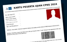 Kartu Ujian CPNS 2024 Belum Muncul