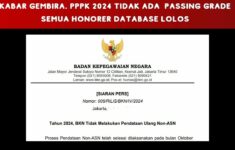 Penilaian PPPK 2024 Tidak Lagi Gunakan Passing Grade